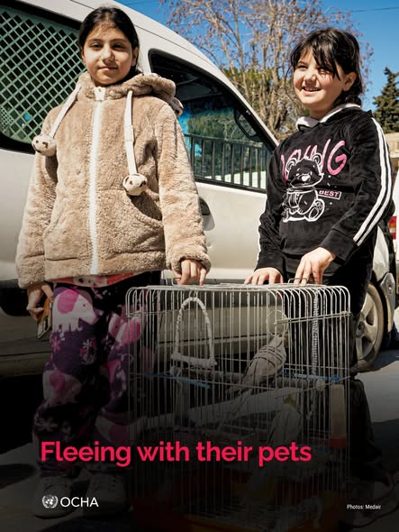 Two displaced children standing with their pet birds